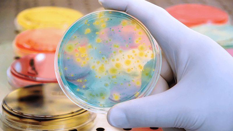 生物医药洁净室设计规范：关键要素与合规要点**