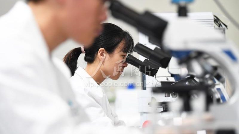 细胞培养基配方：研发背后的关键要素**