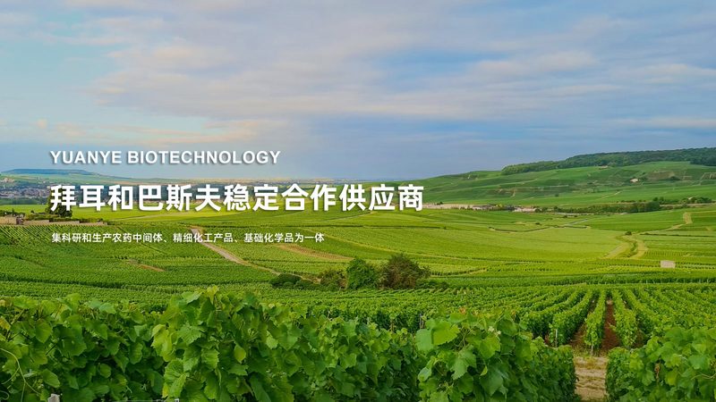 血清培养基国产与进口：效果对比与选择考量