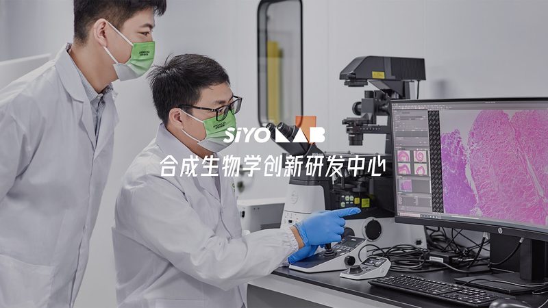 分子克隆试剂：揭秘十大品牌背后的技术秘密