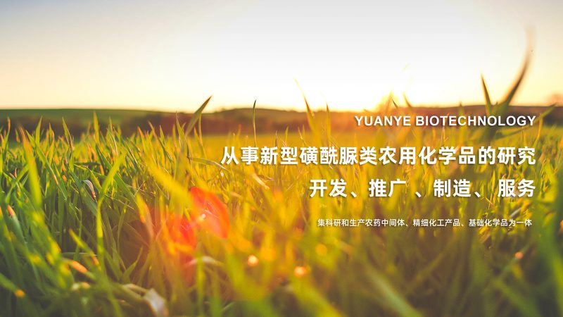 细胞工厂：揭秘其工作原理与对比分析