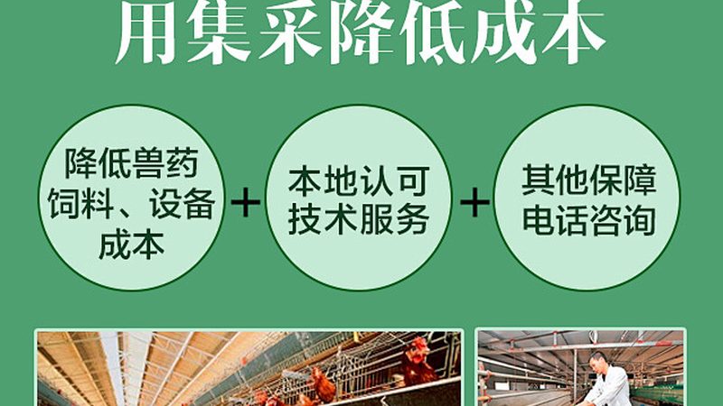 工业酶选型：揭秘制药工艺中的关键环节