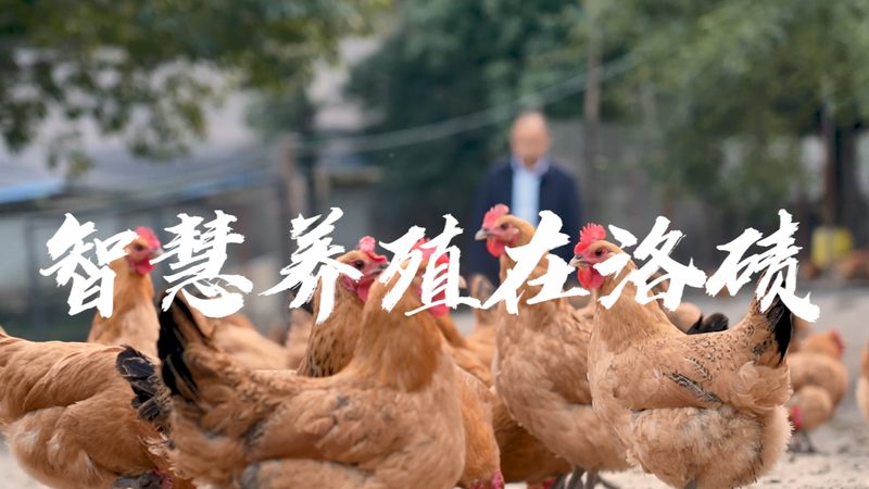 PCR核酸检测：价格背后的考量因素