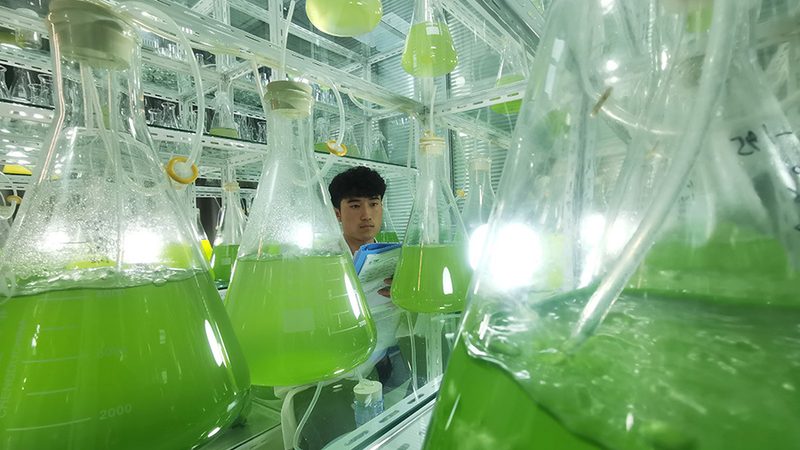 PCR检测标本采集套装通常包括以下几部分：
